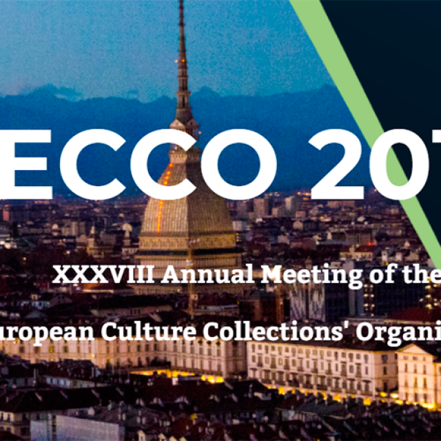 38º ECCO 2019