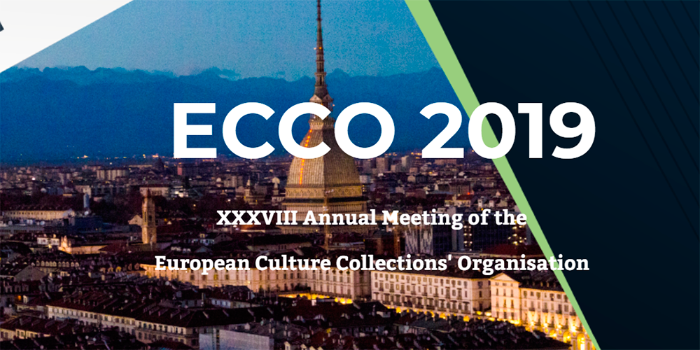 38º ECCO 2019