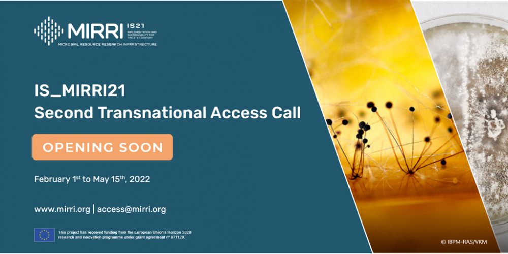 MIRRI’s TNA call will open soon. Proposals can be submitted from February 1 to May 15, 2022.