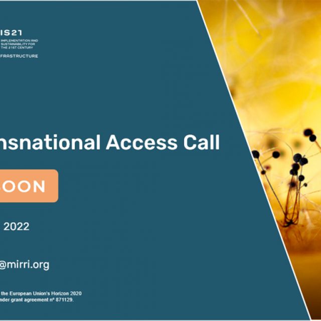 MIRRI&#8217;s TNA call will open soon. Proposals can be submitted from February 1 to May 15, 2022.