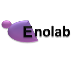 <strong>CCM – ENOLAB</strong>