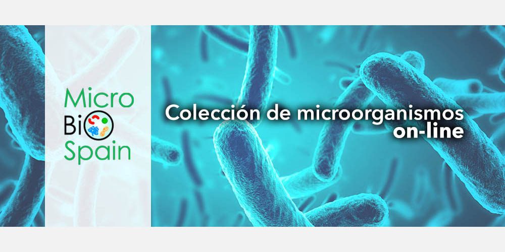 MicroBioSpain: la colección de microorganismos españoles accesible “on-line”