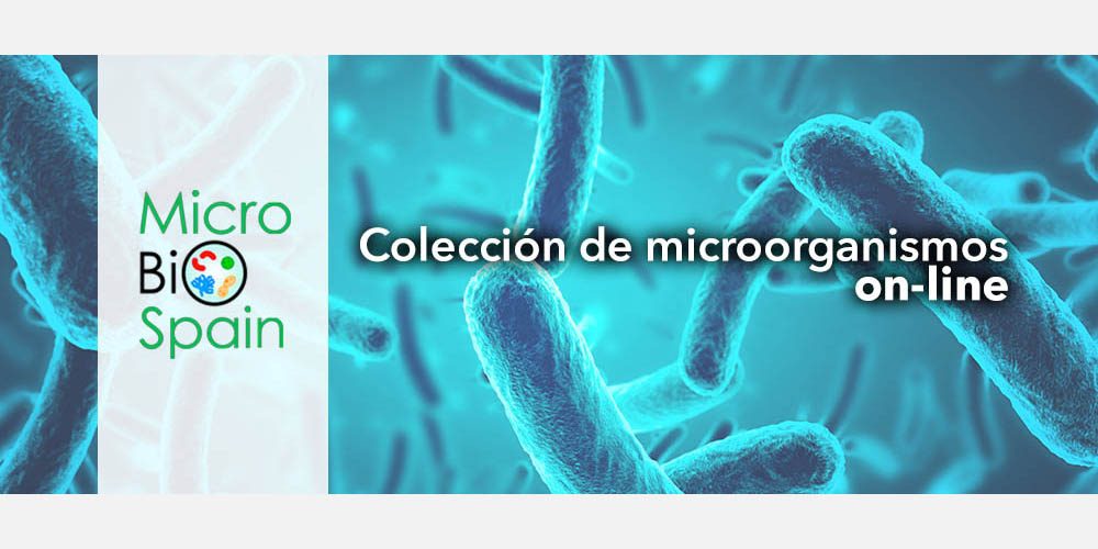 MicroBioSpain: la colección de microorganismos españoles accesible “on-line”